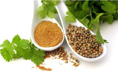Ayurvedic foods - herbs and spices in the diet