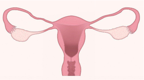 Natural treatment of some gynecological problems in women