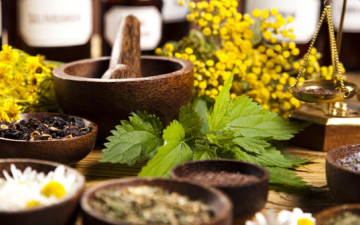 Видове храни в Аюрведа | Ayurveda Clinic Sofia