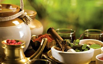 What exactly is Ayurveda about?