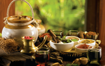 Ayurveda elements and disease prevention | Ayurvedasofia.bg