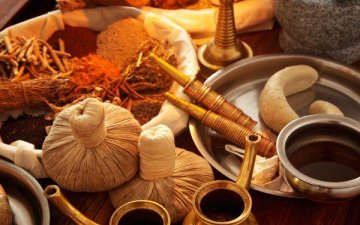 Many types of herbs in Ayurveda | Ayurveda Clinic Sofia
