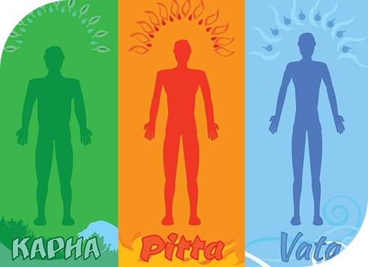 The three doshas in Ayurveda | Ayurvedasofia.bg