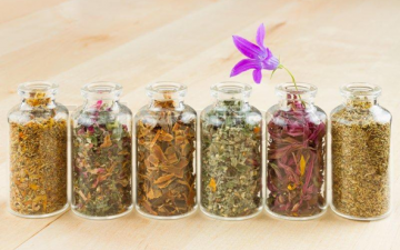 Ayurveda herbs in pots | Ayurveda Clinic Sofia